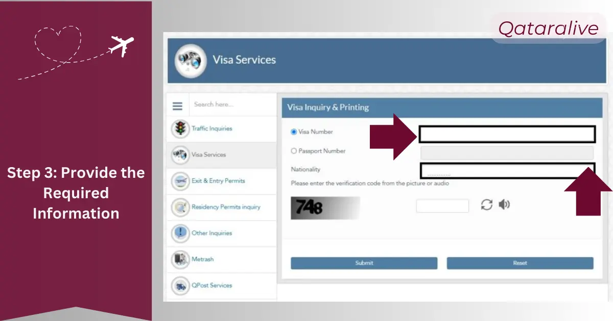 Step 3 Provide the Visa Number