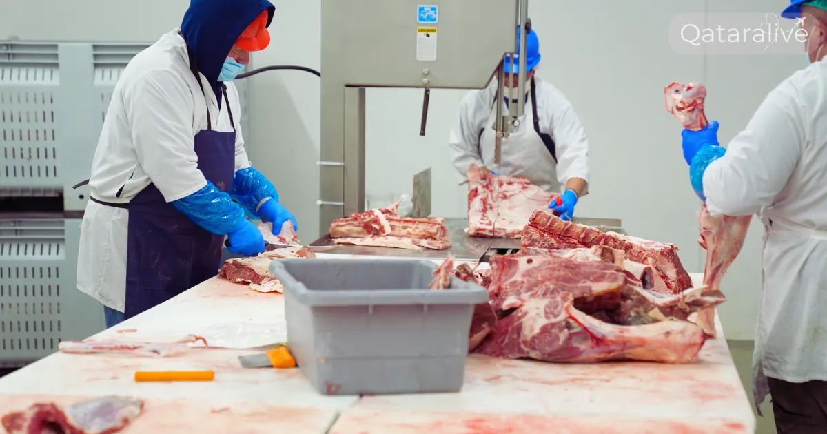 Slaughterhouses in Qatar 2025: Buy and sacrifice your animal with the Rules 2 List of Slaughterhouses in Qatar