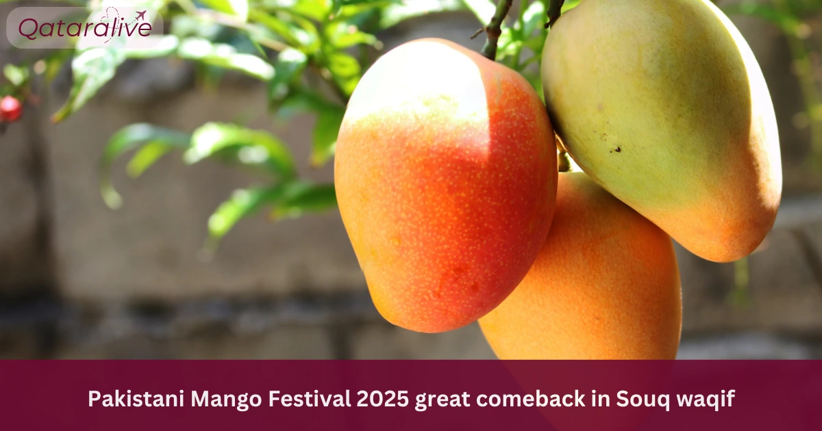 Souq Waqif hosts 2nd edition of Pakistani mango festival 1 Pakistani Mango Festival Comes Back to Souq Waqif 2025