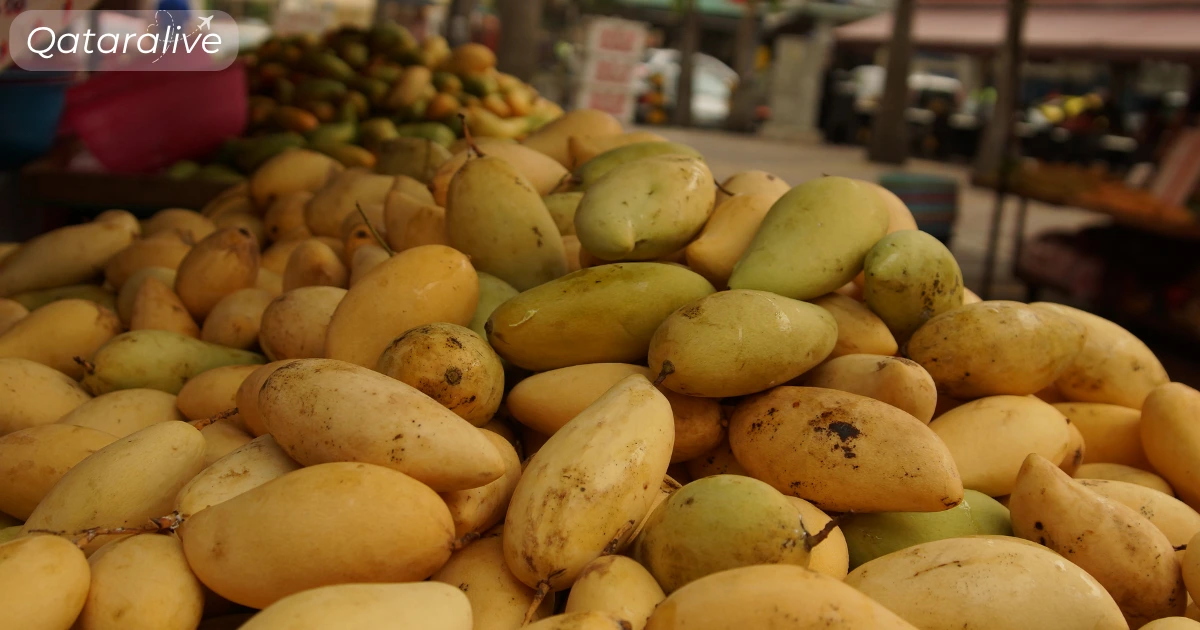 Souq Waqif hosts 2nd edition of Pakistani mango festival 4 Best Stalls Not to Miss at the Pakistani mango Festival Qataralive