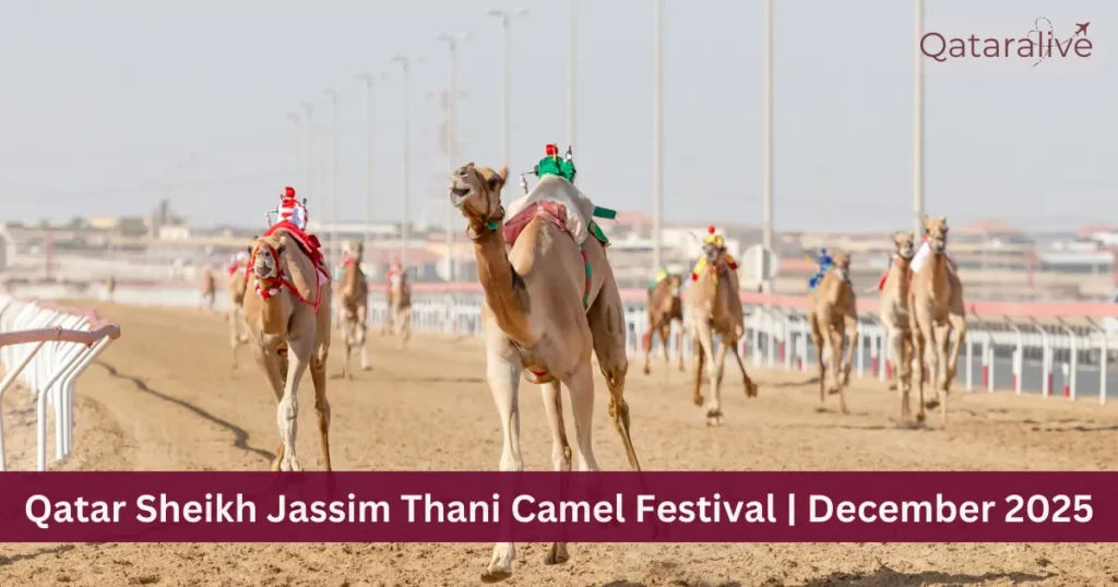 Sheikh Jassim Thani Camel Festival Qatar December 2025