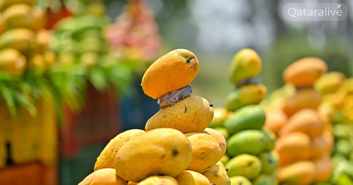 Pakistani Mango Festival 2026 Returns to Souq Waqif 4 Qatar Pakistani Mango Festival 2026