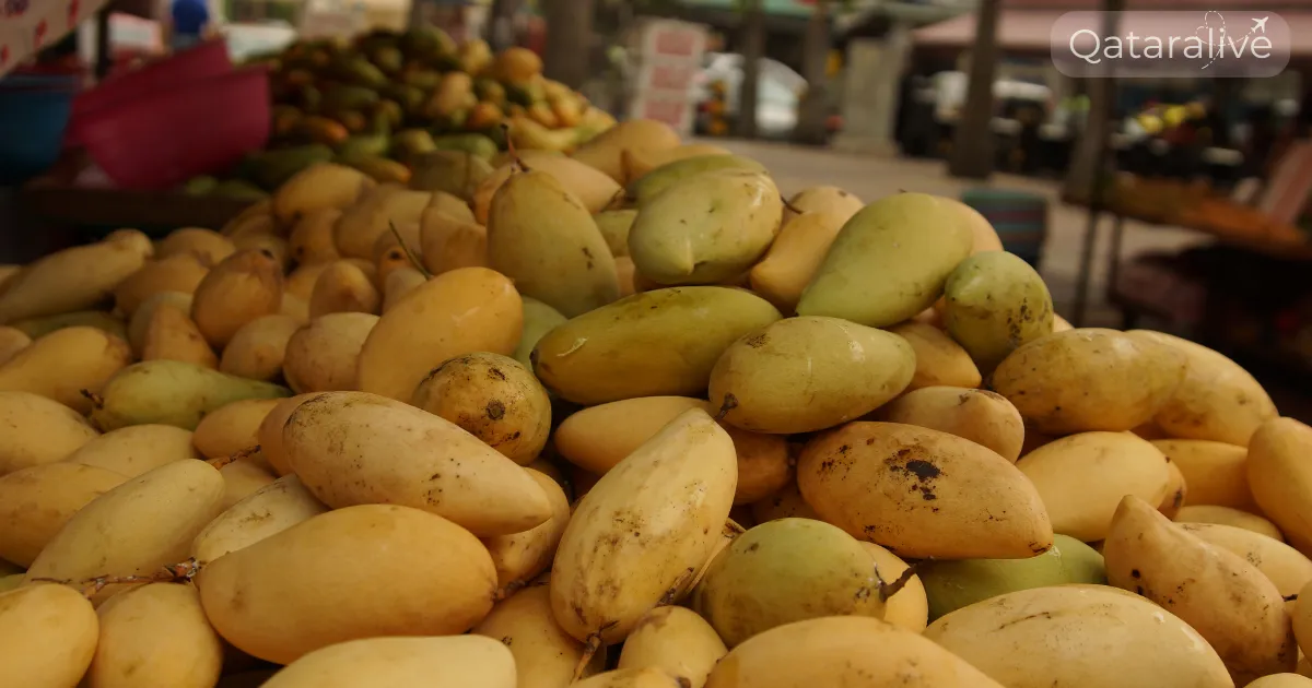 Pakistani Mango Festival 2026 Returns to Souq Waqif 2 Pakistani Mango Festival in qatar